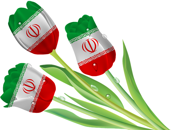 Free download Tulips Iran Tajikistan free illustration to be edited with GIMP online image editor