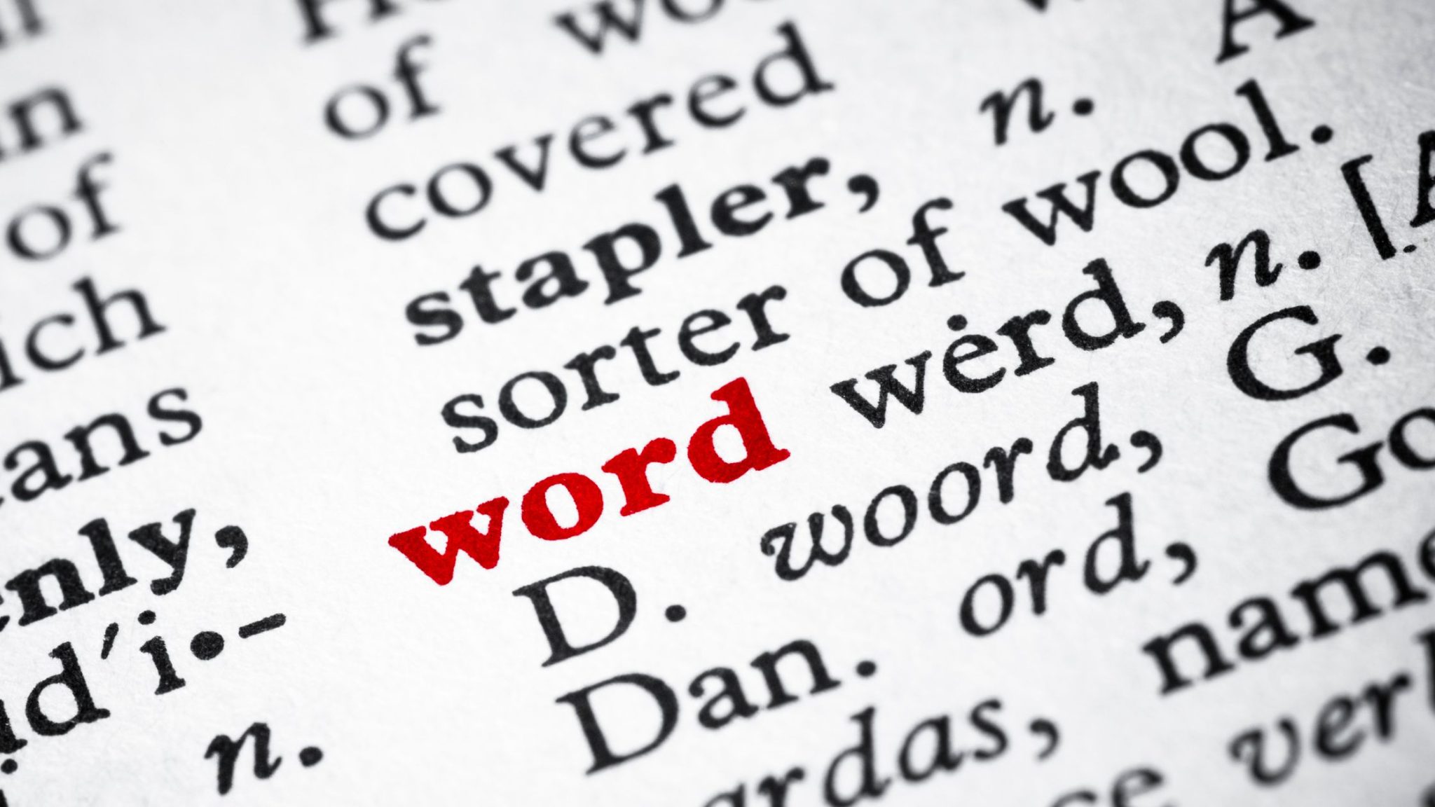 Create A Word Web