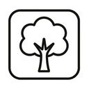 icon_art_tree_minimal_outline icon preview