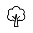icon_business_tree_minimal_outline icon preview
