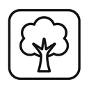 icon_culture_tree_minimal_outline icon preview