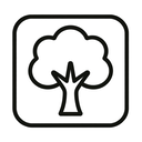 icon_culture_tree_outline icon preview