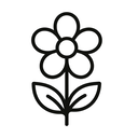 icon_education_flower_minimal_outline icon preview