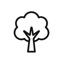 icon_education_tree_minimal_outline icon preview