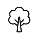 icon_geography_tree_minimal_outline icon preview