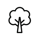 icon_health_tree_minimal_outline icon preview