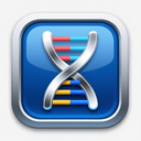 icon_internet_dna_strand_metallic icon preview