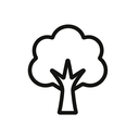 icon_medicine_tree_minimal_outline icon preview