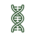 icon_nature_dna_strand_outline icon preview