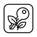 icon_nature_key_minimal_outline icon preview