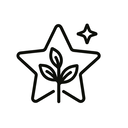 icon_nature_star_minimal_outline icon preview
