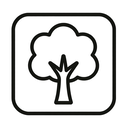 icon_politics_tree_minimal_outline icon preview