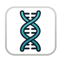icon_software_dna_strand_filled icon preview