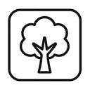 icon_software_tree_line_art icon preview