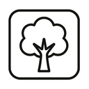 icon_software_tree_minimal_outline icon preview