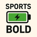 icon_sports_battery_bold icon preview