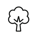 icon_transportation_tree_line_art icon preview