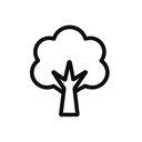 icon_transportation_tree_minimal_outline icon preview