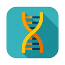 icon_travel_dna_strand_flat_design icon preview