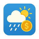 icon_weather_coin_simplified icon preview