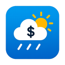 icon_weather_dollar_sign_technical icon preview