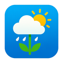 icon_weather_flower_sharp_edges icon preview