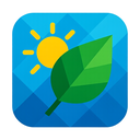 icon_weather_leaf_geometric icon preview