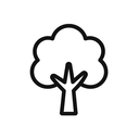icon_weather_tree_minimal_outline icon preview