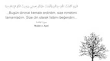 Free download 01 1920x1080 free photo or picture to be edited with GIMP online image editor