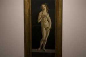 Free download 0414 Venus Botticelli 02 1000x 661 free photo or picture to be edited with GIMP online image editor