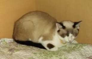 Free download 06-30-17 Moni free photo or picture to be edited with GIMP online image editor