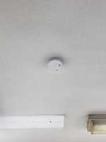 Free download 0 B 359 B 43 0 FF 4 47 D 3 90 B 5 EF 069 C 9 F 4 FF 0 Min free photo or picture to be edited with GIMP online image editor