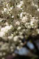 Free download 0 R 9 A 2836 free photo or picture to be edited with GIMP online image editor