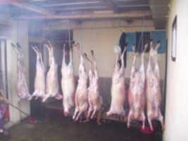 Free download 100 2510 free photo or picture to be edited with GIMP online image editor