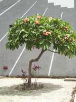 Free download 100 6933 free photo or picture to be edited with GIMP online image editor