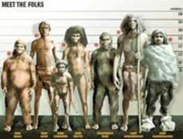Free download 100 Facts for Differences between Human Races free photo or picture to be edited with GIMP online image editor