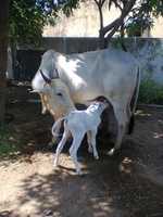 Free download 11080876 1608323399454077 4344398510763228542 O free photo or picture to be edited with GIMP online image editor