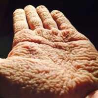 Free download 11147146 772630846188538 5326926464026521867 N free photo or picture to be edited with GIMP online image editor