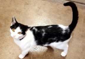 Free download 11-17-17 Ellen free photo or picture to be edited with GIMP online image editor