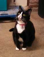 Free download 11-17-17 Margaret free photo or picture to be edited with GIMP online image editor