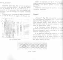 Free download 11207344 1362061113819564 5469280559954155785 N free photo or picture to be edited with GIMP online image editor