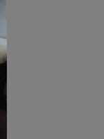 Free download 112993 ( 1) free photo or picture to be edited with GIMP online image editor