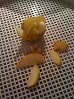 Free download 11terbis13terseptember free photo or picture to be edited with GIMP online image editor