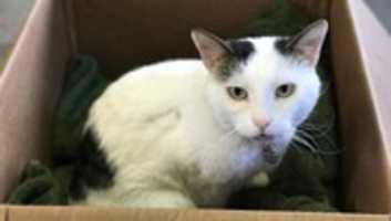 Free download 12-01-17 Bubbles free photo or picture to be edited with GIMP online image editor