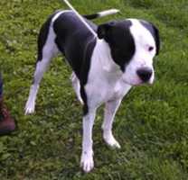 Free download 12-02-16 Happy free photo or picture to be edited with GIMP online image editor