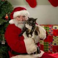 Free download 12-09-16 Gisella free photo or picture to be edited with GIMP online image editor