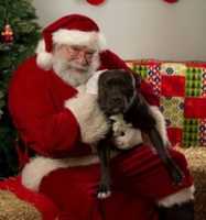 Free download 12-09-16 Kristy rev free photo or picture to be edited with GIMP online image editor