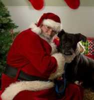 Free download 12-16-16 Nellie Nelson free photo or picture to be edited with GIMP online image editor