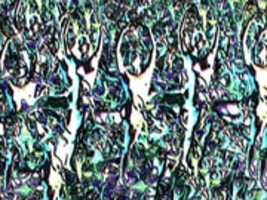 Free download 12190546 1480721468904182 1508861367 O free photo or picture to be edited with GIMP online image editor