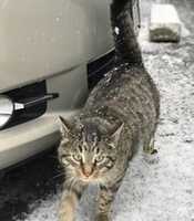 12-22-17 Hobart GIMP online editor free Free download 12-22-17 Hobart free photo or picture to be edited with GIMP online image editor